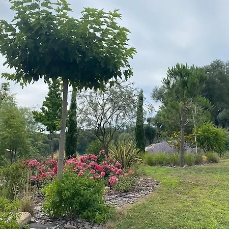 T2 Neuf 4 Personnes Avec Piscine/terrain Tennis * פורטו-וישיו