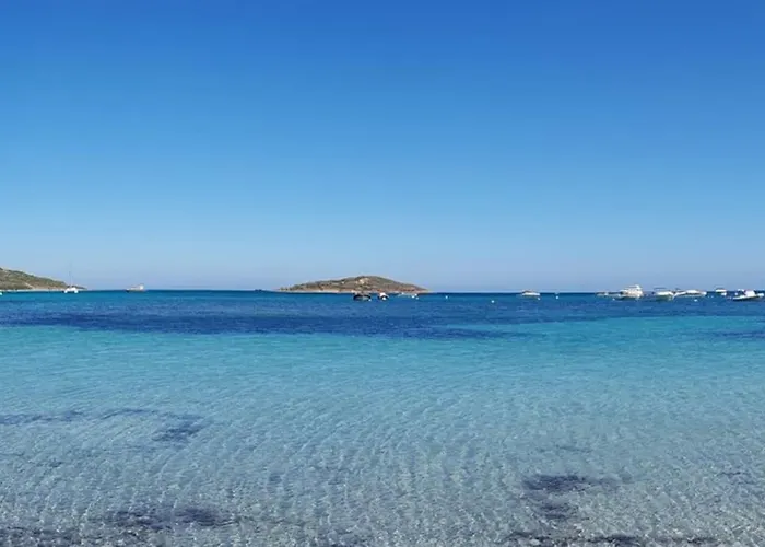 Appartement T2 Neuf 4 Personnes Avec Piscine/terrain Tennis