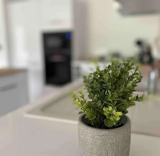 Appartement T2 Neuf 4 Personnes Avec Piscine/terrain Tennis *